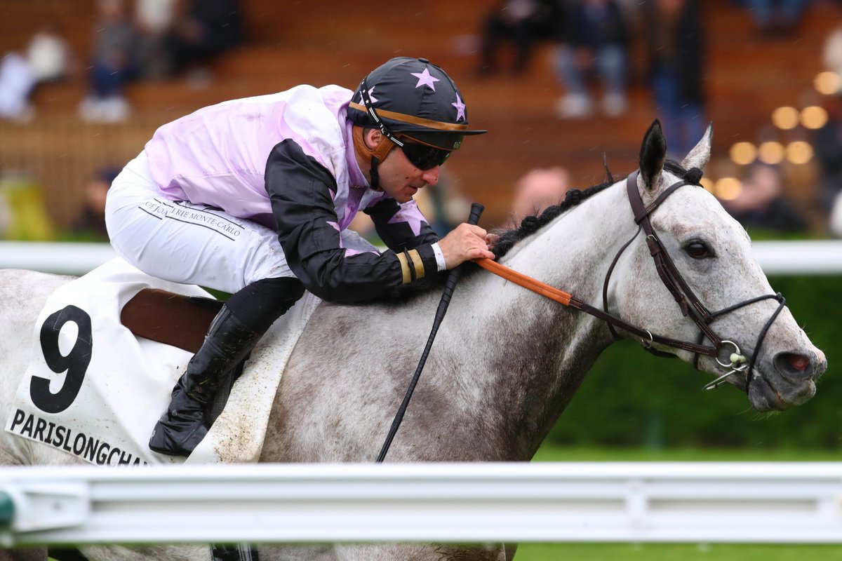 Congratulations to MAGELLAN (FR)and his owners, Ecurie Lenglet, for winning the €100k Super Handicap yesterday @paris_longchamp . Given a super ride by @pasquito60 MAGELLAN earned €77,250 for his owners yesterday. Photo Credit: @AprhChantilly