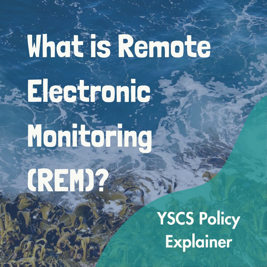 📢Launching our new policy explainer series! In this month's edition we discuss Remote Electronic Monitoring (REM) systems and why the new legislation to make it mandatory on scallop & pelagic vessels in Scotland is important for improving fisheries management. 🧵/1