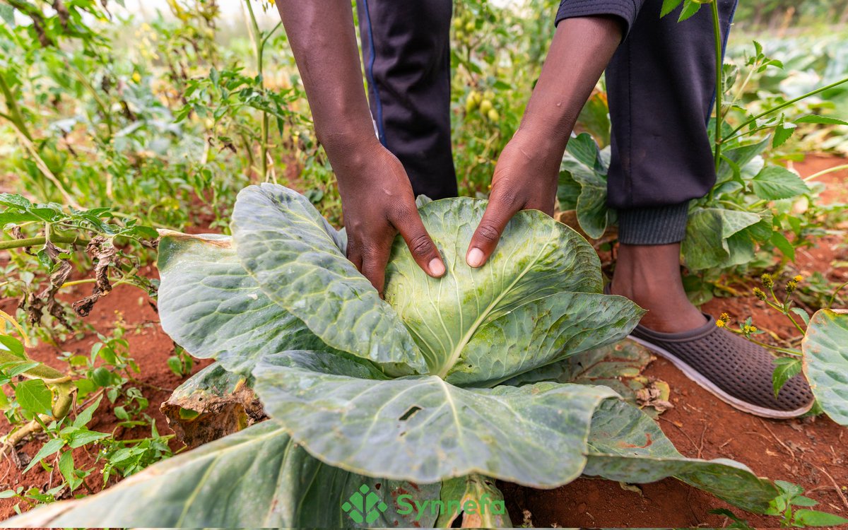 We want to take a moment to celebrate the incredible achievements of our farmers. We know farming isn't easy. It takes dedication, hard work, and a whole lot of skill. That's why we're passionate about providing you with the tools you need to succeed. You get to: —Make data