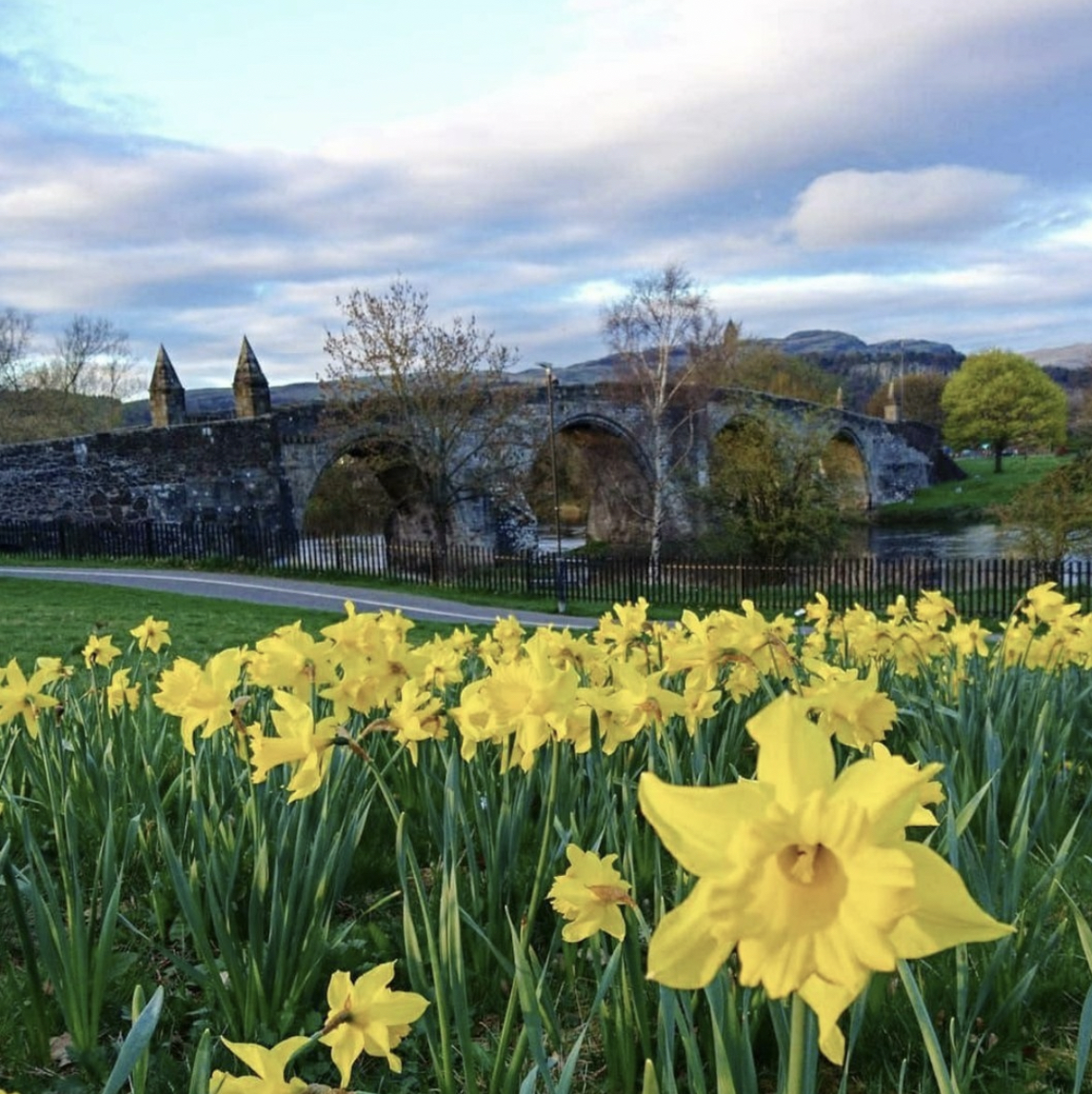 Spring: a lovely reminder of how beautiful change can truly be 😍💚 #MondayMotivation A lovely shot of the daffodils at the Old Stirling Bridge taken by @lookingforlorna on IG 📸 🌼