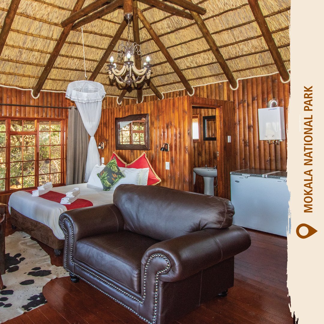 Unwind atop one of the three Tree Top Cottages in Mokala National Park. Gaze upon the vast landscapes before you, absorb the gentle sounds of nature… #MokalaNationalPark #LiveYourWild #SANParks #WildBackyard