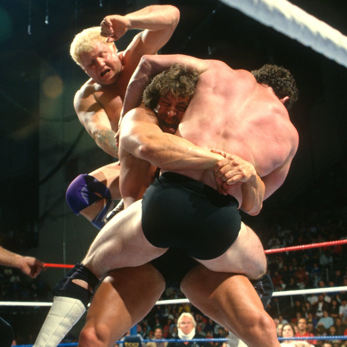 📸 WWF Action Shot! #WWF #WWE #Wrestling #HarleyRace #KenPatera #Hercules