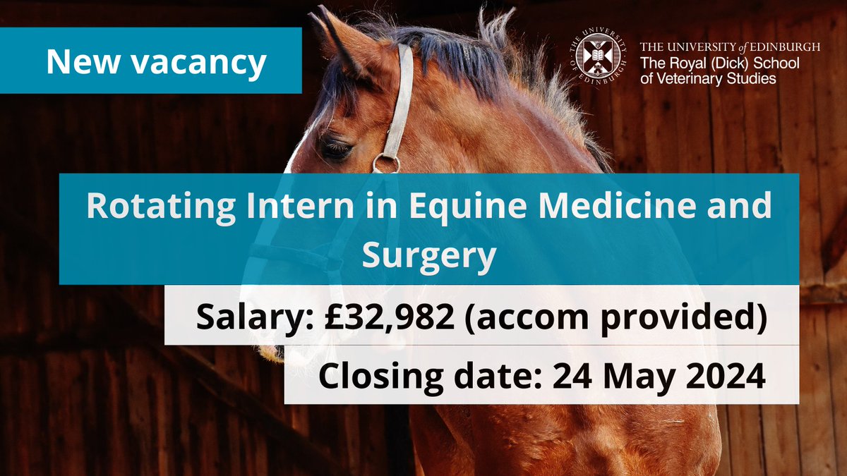 JOIN US! We are looking for a rotating #intern to join our Equine Hospital.

Perfect opportunity for vets looking to develop their knowledge and skills in #equinemedicine and #equinesurgery. 

£32,982 per annum &amp; free accom
More info: edin.ac/3Iutp15
Apply by 24 May