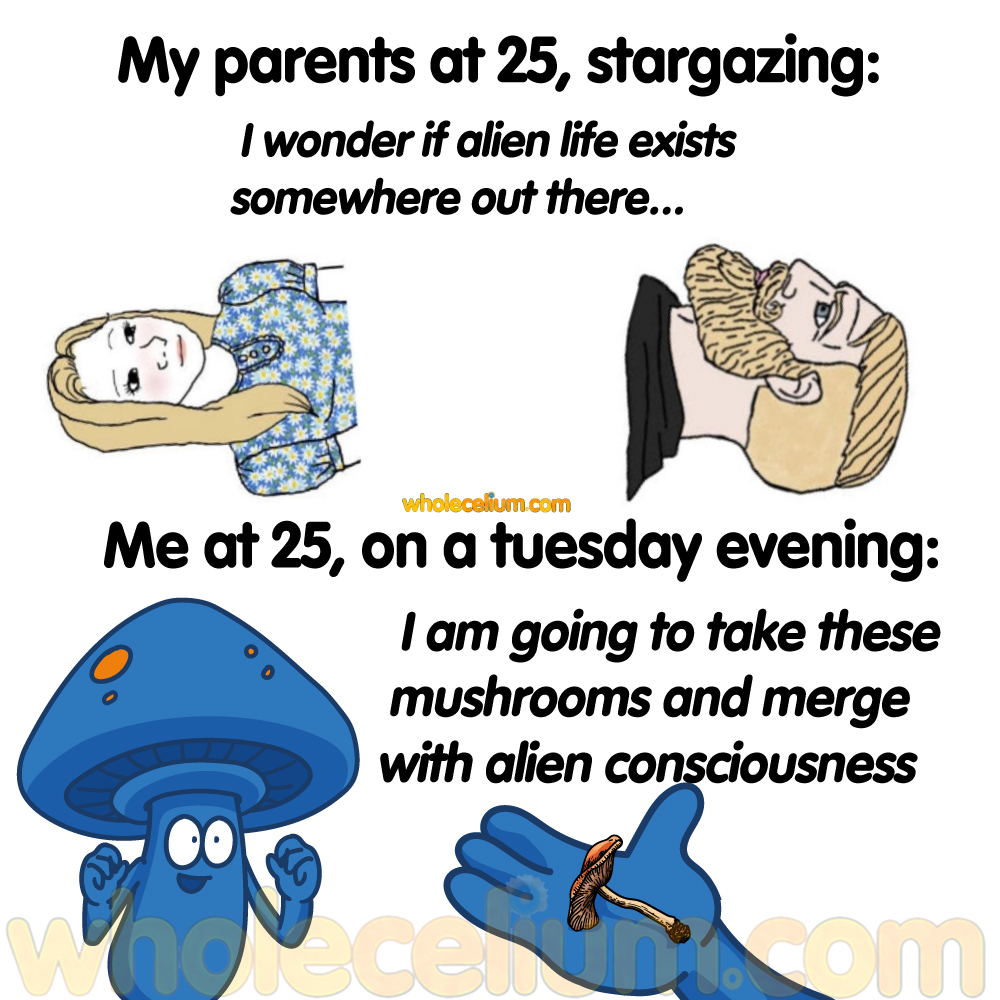 My parents at 25, stargazing vs me at 25 on a Tuesday evening.👨‍🚀 Looking for quality psychedelic items? We got you! Head to our webs!te now! 👉 Lιnk in biø for more info #alien #ufo #consciousness