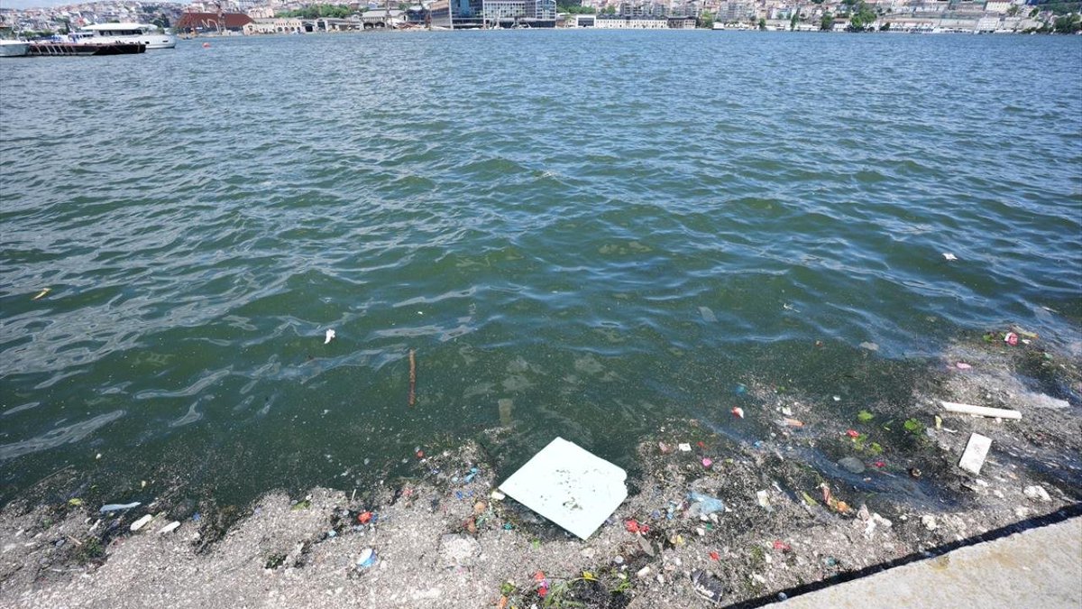 İstanbul’un incisi Haliç pislik içinde

▪️Balat Sahili'nde çekilen görüntüde deniz üzerinde biriken çöplerin kıyıya vurduğu gözlendi.