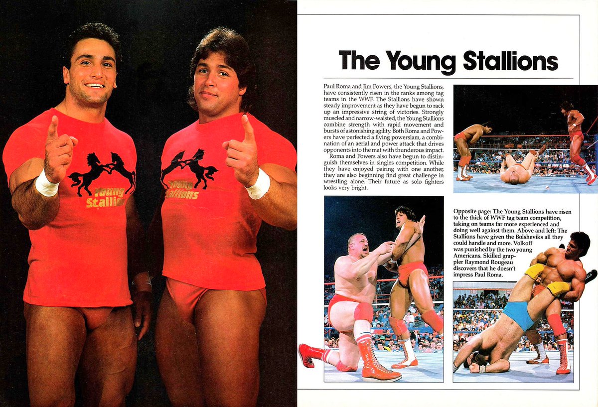 Profile of The Young Stallions from WWF Superstars III magazine published in 1988. 🐎🐎 #WWF #WWE #Wrestling #JimPowers #PaulRoma