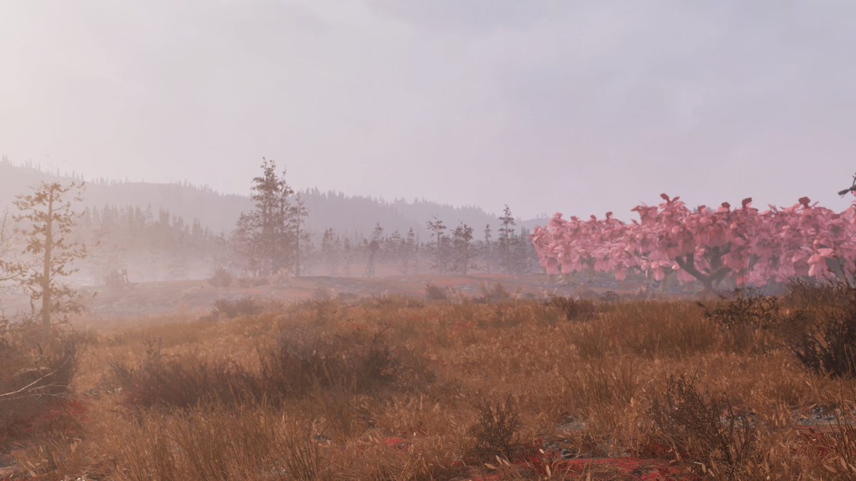 #LandscapeMonday 

🎮- #Fallout76
📸- Nvidia Ansel | In-game PM 
🎨- Lightroom Classic 

#VGPUnite #VPRT #TheCapturedCollective #ThePhotoMode #VirtualPhotography #Fallout #FO76