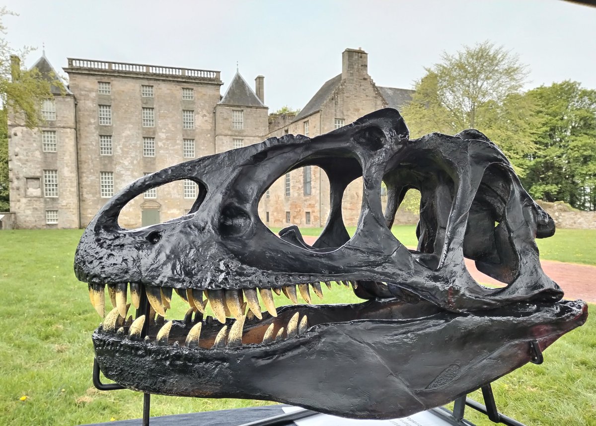 Dinostar in Scotland! As part of the Falkirk Science Festival some of our dinosaurs are at @kinneil estate today, 11am to 3pm.