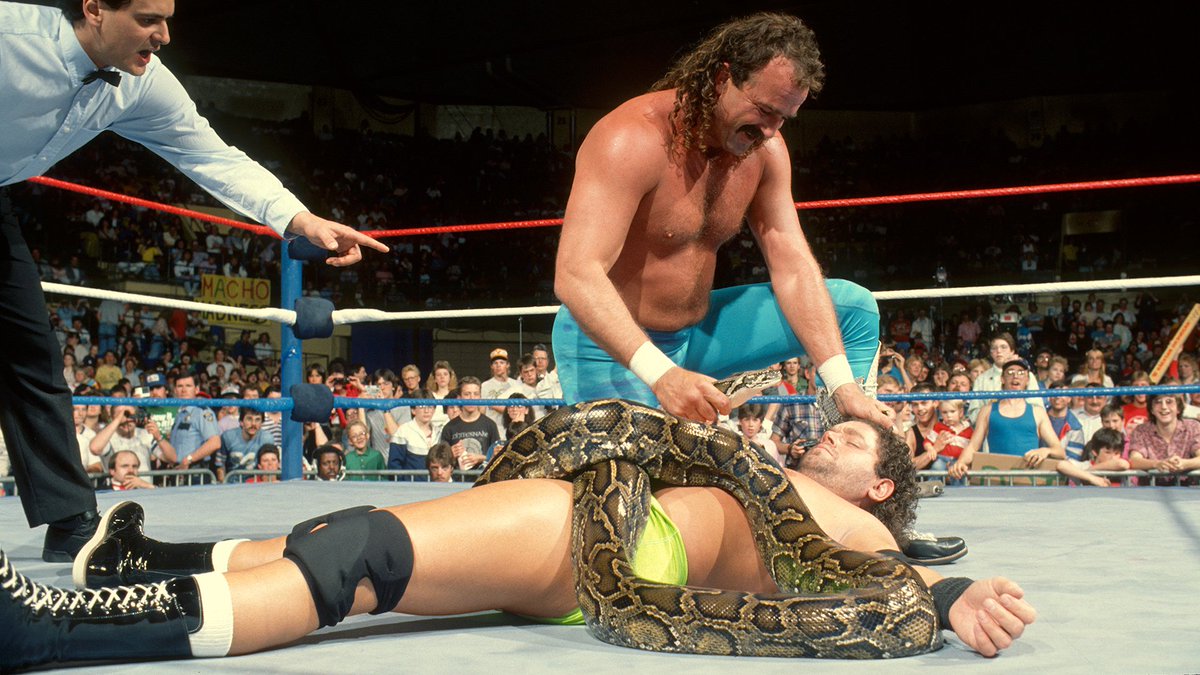 📸 Photo from this day in 1988 as Jake Roberts unleashes Damien on Barry Horowitz during a WWF Superstars taping at the Entertainment Convention Center, Duluth, Minnesota. 🐍 #WWF #WWE #Wrestlimng #JakeRoberts