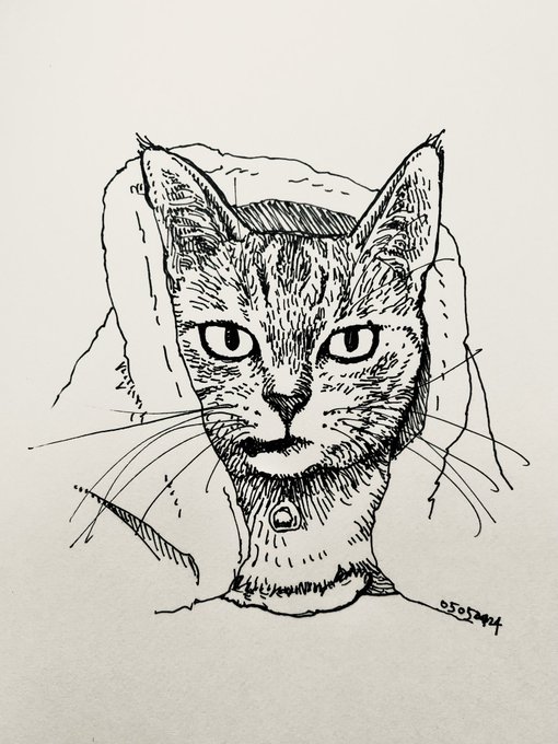 「シンプルな背景 猫目」のTwitter画像/イラスト(新着)