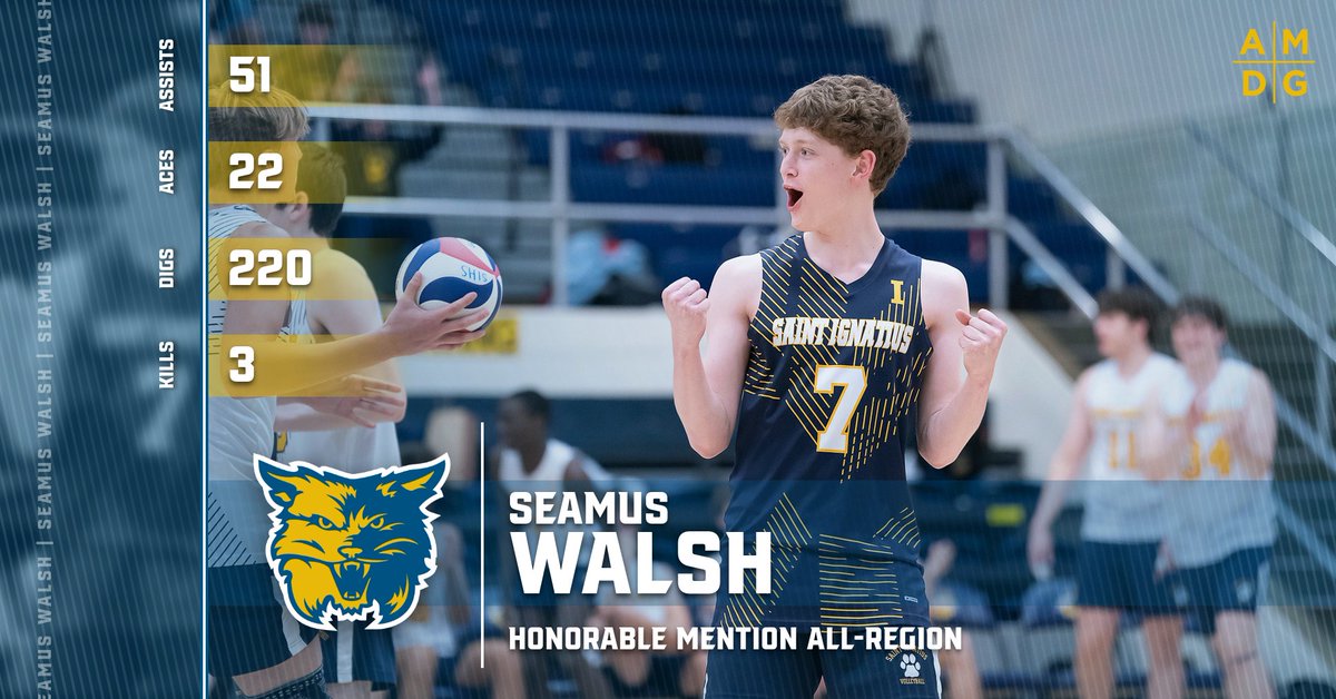 Another pair of Wildcats earned Honorable Mention honors in 2024! Congratulations to our Middle Blocker Christopher Slater and Libero Seamus Walsh! 
#GoCats