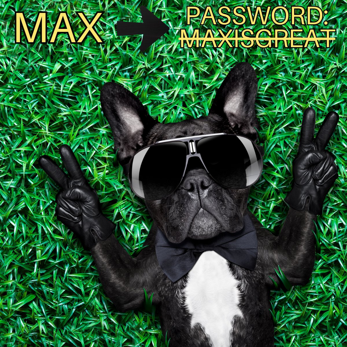 Love your pet's name? Hackers do, too! Don't make it easy for hackers to spear phish your password.

#HackersLovePets #PetPassword #PasswordProtection #SecurePasswords #Cybersecurity