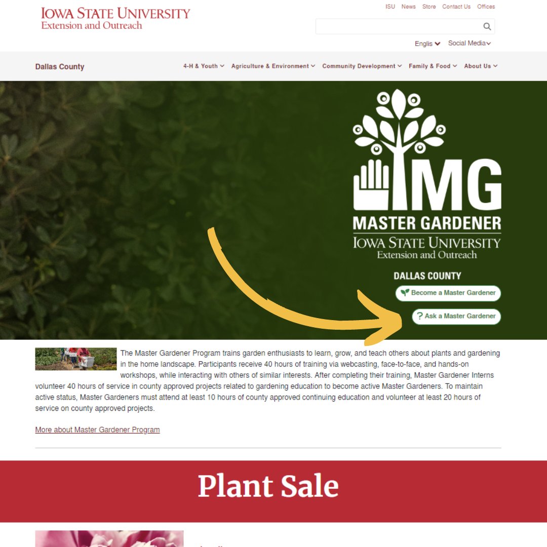 Looking to spruce up your #garden or #yard? Call 515-735-5015 for expert advice from Megan, our Master #Gardener Coordinator. Whether it's pesky pests, tricky plants, or general advice, we've got you covered!

You can also contact us through our website at extension.iastate.edu/dallas/master-…