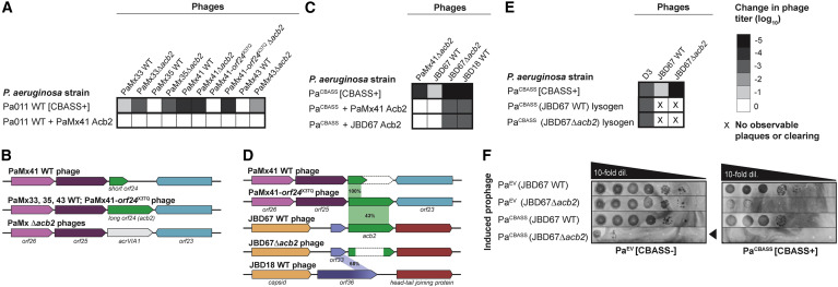 Bruce Wang tweet media