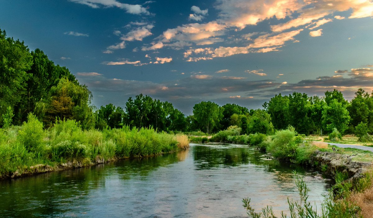Tired of our cold spring weather, want to believe that summer is truly around the corner? 😎 ☀️ Why not come to our HCO concert on Saturday 18th May, and be inspired by Delius' beautiful piece 'Summer Night on the River'?

Tickets: ticketsource.co.uk/havantorchestr…