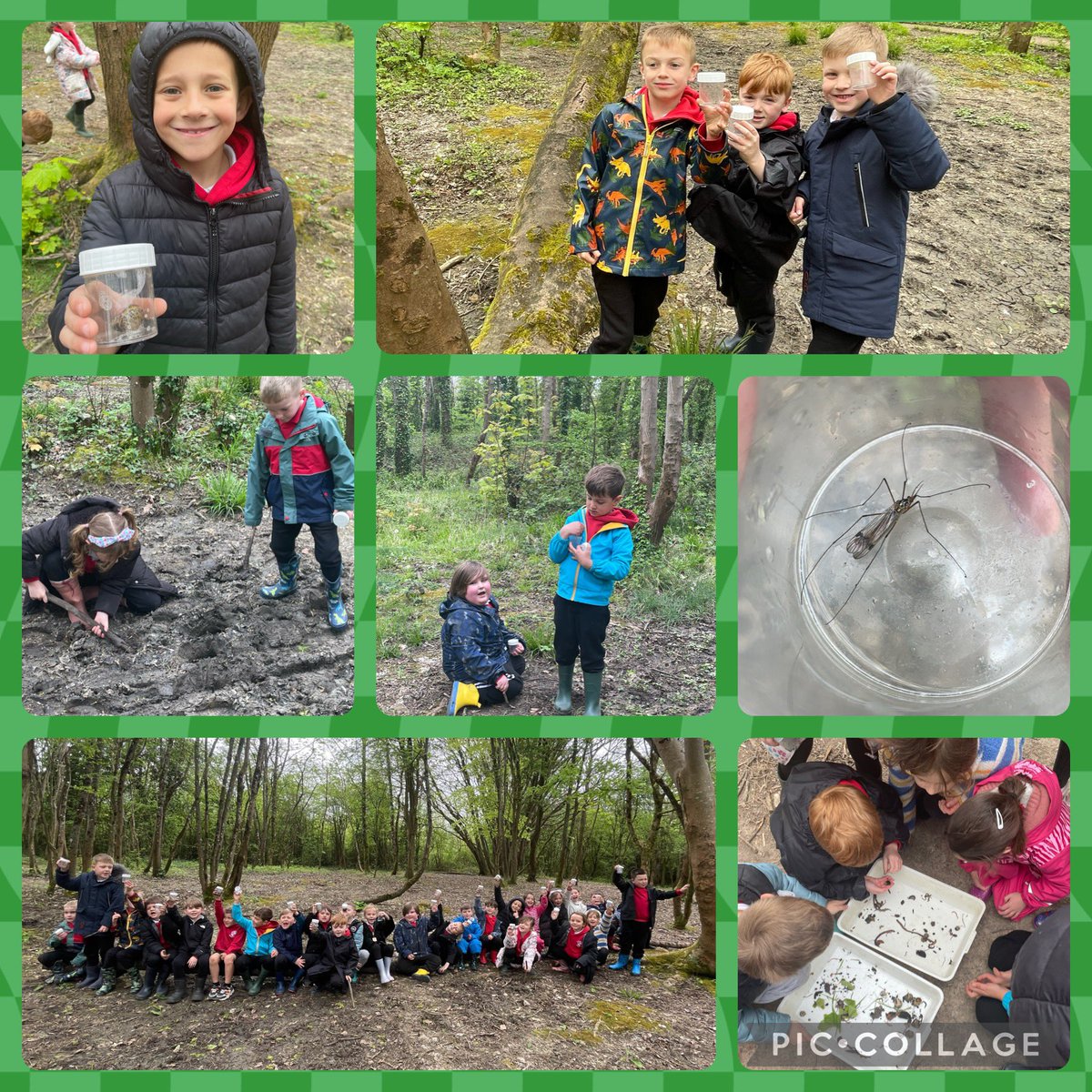 We have lots of future Entomologists 🐜 and Malacologists 🐌 in Dosbarth Cangarw! They had an amazing day at Cosmeston Lakes hunting for minibeasts🐞 - not a clean hand in sight!