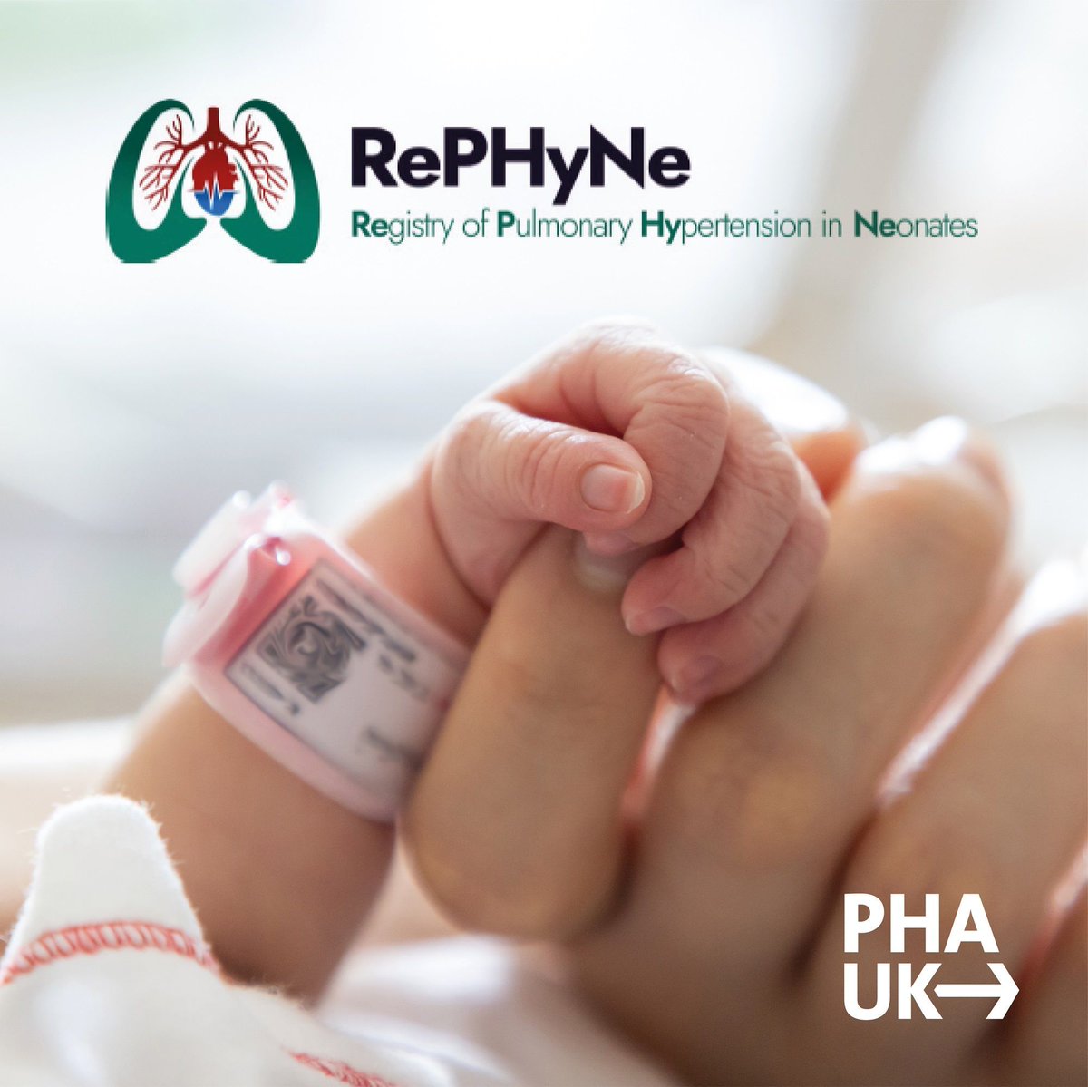 PHA UK (@pha_uk) on Twitter photo Researchers from the University of Liverpool are trying to understand the most important treatment outcomes for babies with #PH & they need to interview parents. Could you assist their study? 
Details : rephyneregistry.com 
Register your interest: phauk.org/RephyneRegistry Researchers from the University of Liverpool are trying to understand the most important treatment outcomes for babies with #PH & they need to interview parents. Could you assist their study? 
Details : rephyneregistry.com 
Register your interest: phauk.org/RephyneRegistry