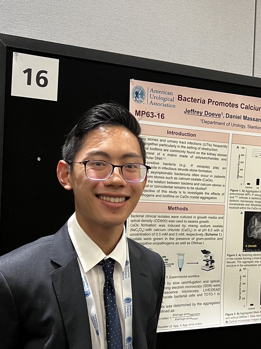 Proud of @PreRenal_SU student Jeffrey Doeve from @ucla for outstanding poster on relationship between CaOx stones and bacterial biofilms #AUA24 @StanfordUrology @StanfordNeph