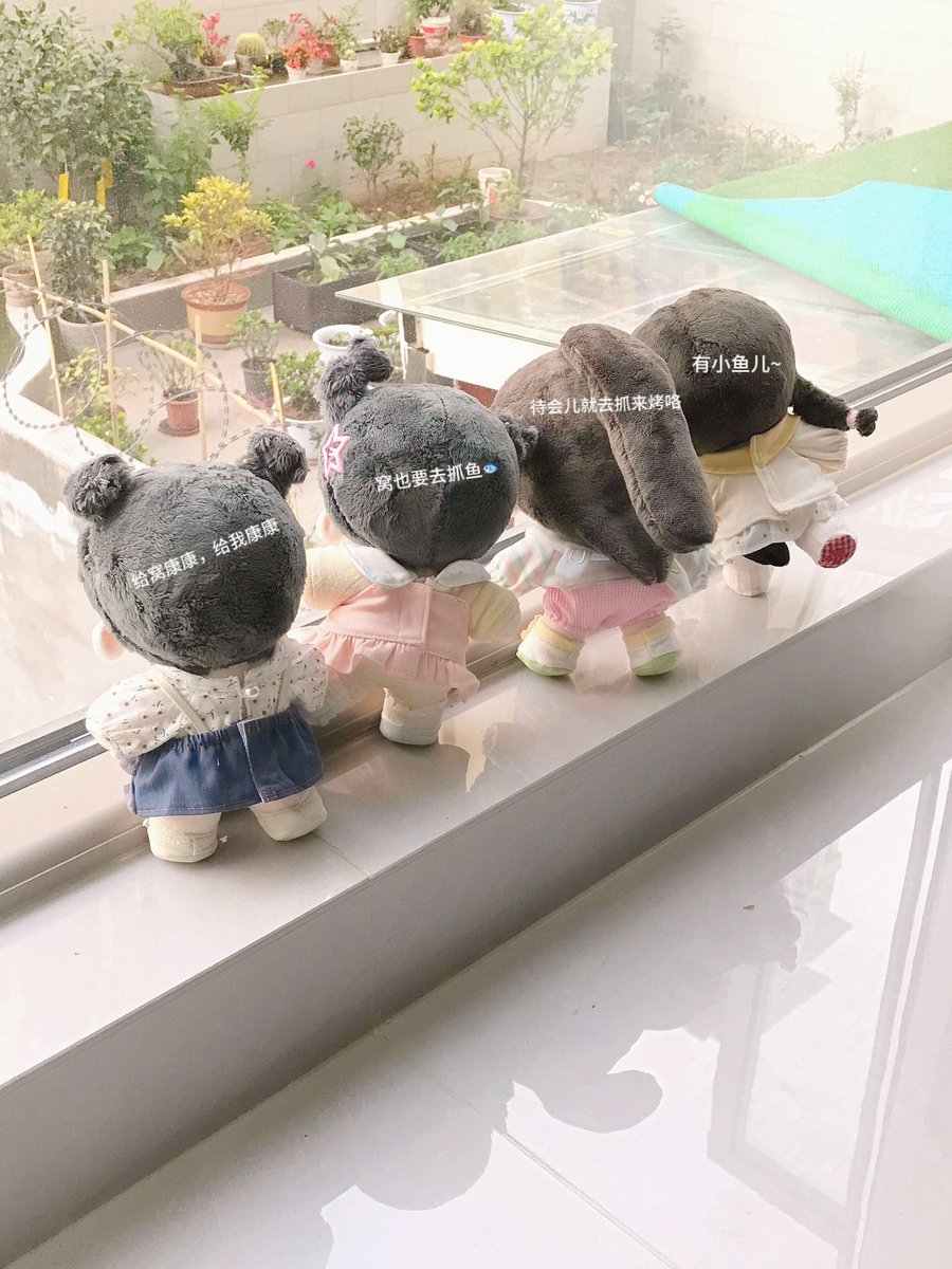 哈咪来啦 tweet media