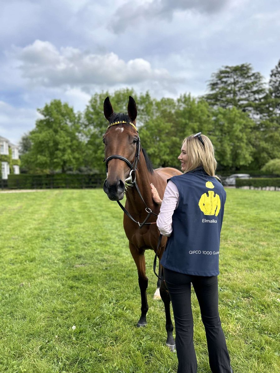 ELMALKA - G1 QIPCO 1000 Guineas Champion 👑 Congratulations again to @ARM__Racing 🏆 @SilvDSousa | @NewmarketRace | @MissKerry13