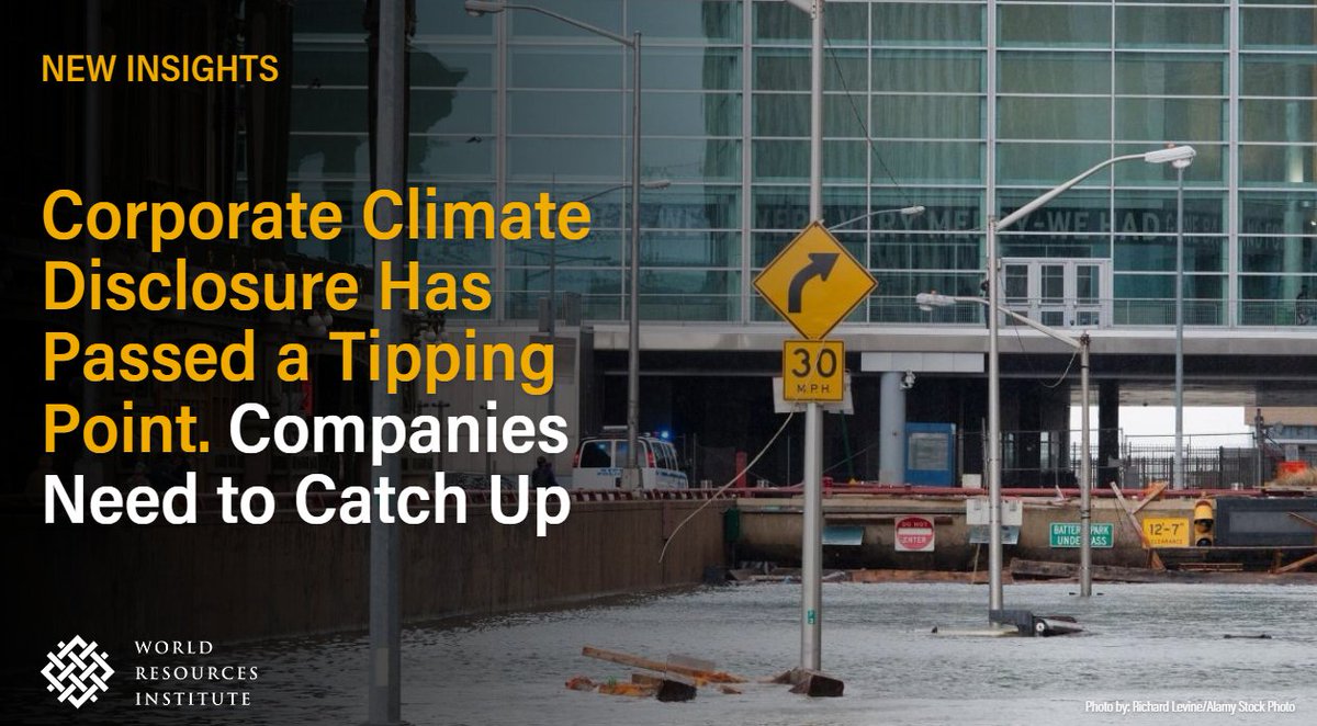 Climate disclosure has reached a tipping point: mandates are becoming the new norm. Corporates should proactively prepare to report across more than one jurisdiction, meeting more robust requirements. Get the lay of the land on #ClimateRisk reporting: bit.ly/3JPWggY