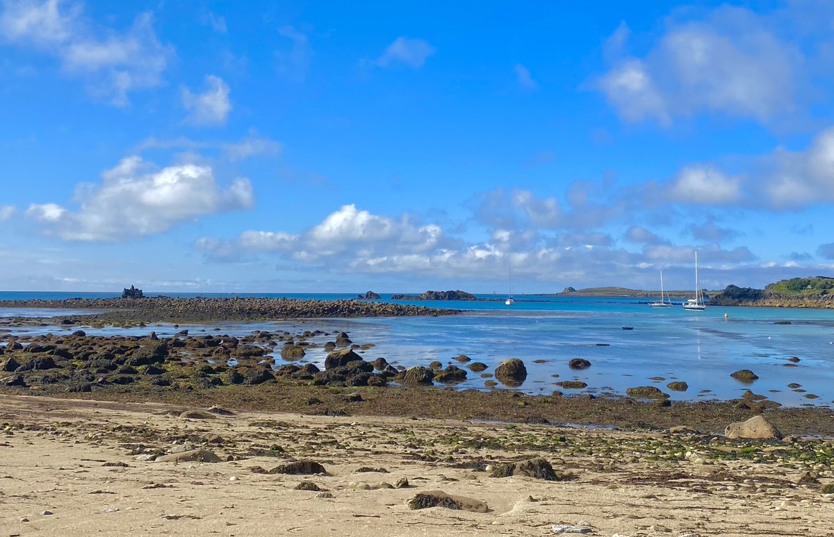 Excellent rockpool safari this morning with two clients enjoying a scarcely seen common spider crab & the nudibranch four-lined polycera when a small flock of bubbling BEE-EATERS arrived off the sea & flew inland! Scilly at its resplendent best ☀️🙌 #ScillyBirds #ScillyRockpools