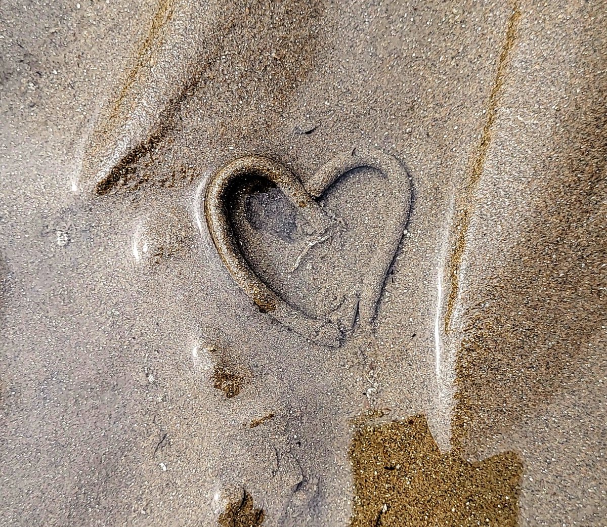 Matthew Crampton tweet media