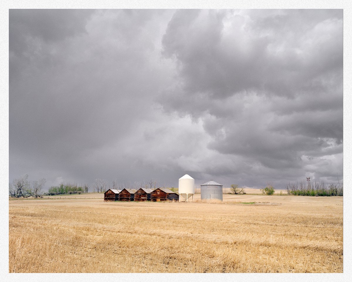 Farmland.

📷 Mamiya 7
🎞️ Kodak Gold 200

#filmphotography #noticemag #alberta #believeinfilm #landscapephotography