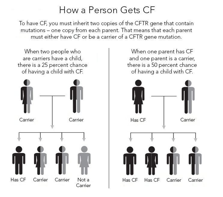 CF_Foundation's tweet image. Cystic fibrosis is a progressive, genetic disease. People with CF have inherited two copies of the defective CF gene — one copy from each parent. Both parents must have at least one copy of the defective gene. #CFAwarenessMonth