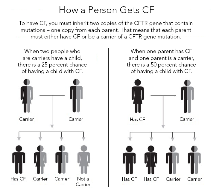 Cystic fibrosis is a progressive, genetic disease. People with CF have inherited two copies of the defective CF gene — one copy from each parent. Both parents must have at least one copy of the defective gene. #CFAwarenessMonth