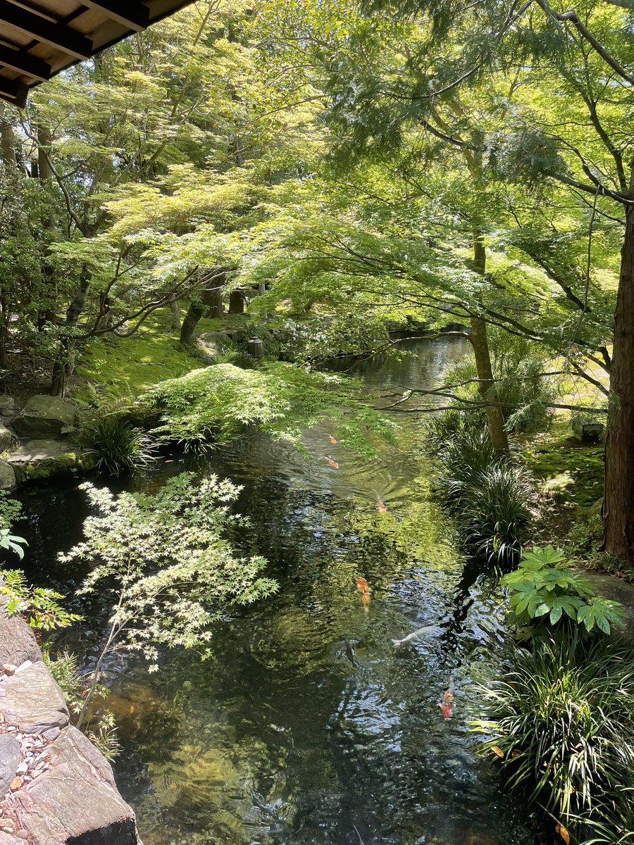 akaganepito's tweet photo. リフレッシュできた😁 https://t.co/VcpKFMghtB