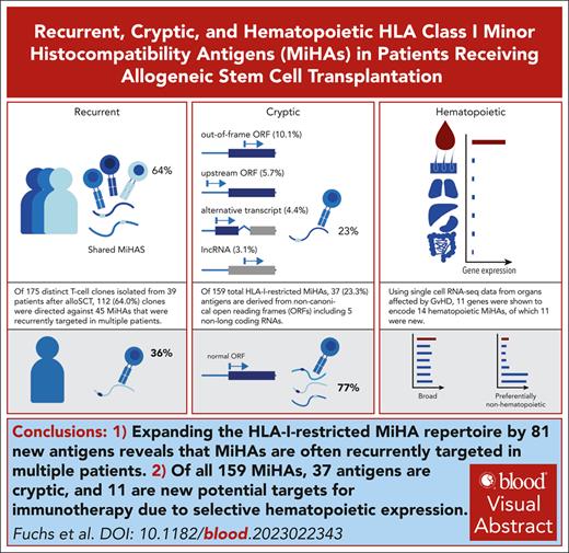Expanding the HLA-I–restricted MiHA repertoire by 81 new antigens reveals that MiHAs are often recurrently targeted in multiple patients. ow.ly/G4KJ50RvVjc #transplantation #immunobiologyandimmunotherapy