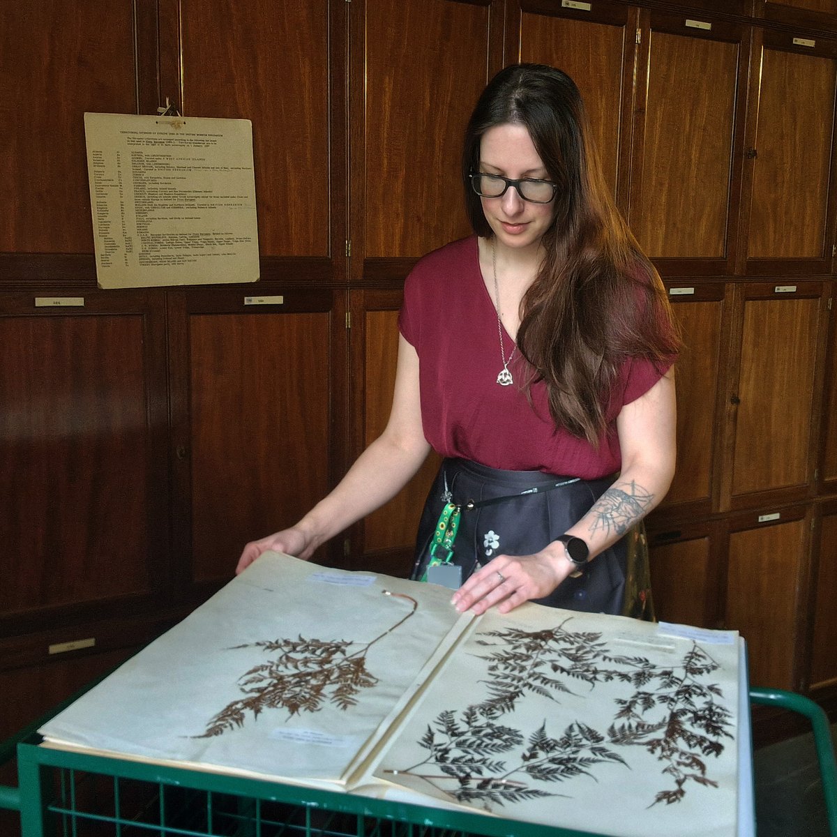 Hi, I'm Krisztina, one of the Senior Digitisers at @NHM_London. I have a background in botany, and I mostly look after our botanical digitisation projects. On our social media, I am usually the one behind our colours and pigments in nature posts. ❤️🧡💛💚💙💜🖤🤍🤎