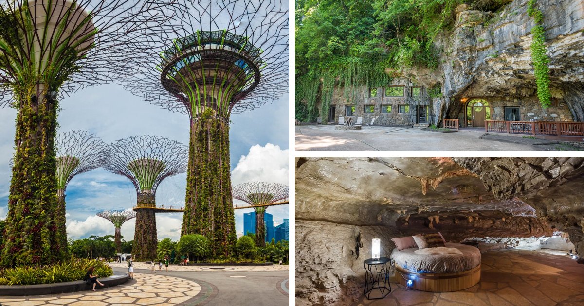 Matthew Plotkin tweet media