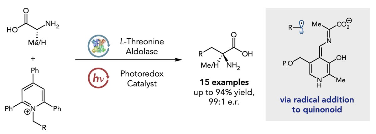 Check out our latest in the Rxiv! A method for synthesizing a-tertiary amino acids using synergistic photoenzymatic catalysis between a PLP-dependent threonine aldolase and small-molecule photoredox catalyst. Congrats to Yao, Claire, and Catherine!  chemrxiv.org/engage/chemrxi…