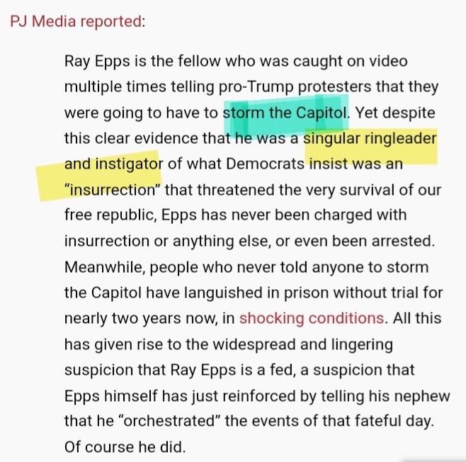 Ray Epps was not a 'singular ringleader and instigator' Ann Vandersteel was right there with Epps instructing unsuspecting patriots to 'STORM the Capitol' on Jan 6, 2021! #DeepStateOperation .@annvandersteel .@GenFlynn .@IvanRaiklin .@RogerJStoneJr