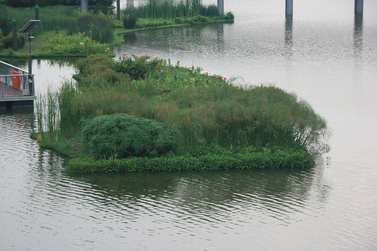 Singapore is another good #WaterSteward, according to Samantha Kuzma, Aqueduct Data Lead, @WorldResources. The country recycles wastewater & implements #NatureBasedSolutions like maintaining wetlands, marshlands & surrounding rivers with natural landscapes vox.com/today-explaine…