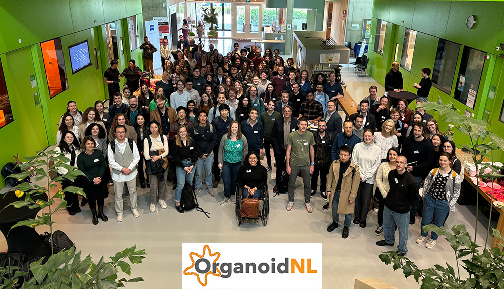 On April 12th, 2024, the OrganoidNL Conference was held at the @_amolf institute in Amsterdam. This event united over 160 researchers from the Netherlands and neighbouring countries, all passionate about organoid research. Read a recap here: hubrecht.eu/organoidnl-202… @OrganoidNL