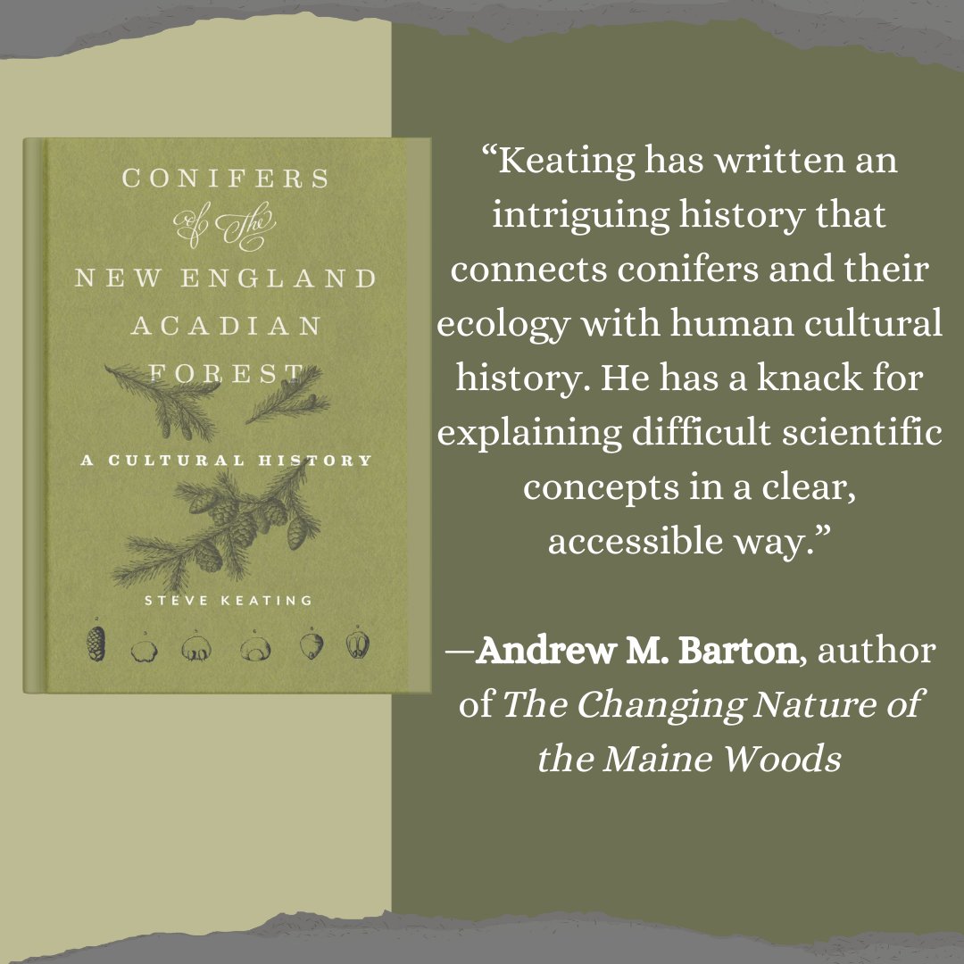 In Conifers of the New England–­Acadian Forest, microbiologist Steve Keating explores how conifers influenced the course of human history, writing in a style that is both scientific and accessible. Order your copy today! ow.ly/iswR50QJCcH #MustRead #Biology #NewBook
