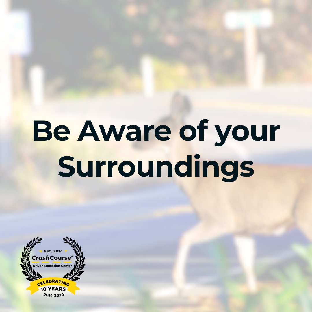 While driving, always stay vigilant and aware of surroundings, including being mindful of wildlife that may cross the road and other unexpected hazards. 🦌🦆🐎🦝 #MindfulMonday #MindfulDriving #RoadAwareness #SafetyFirst #RoadHazards #DriveSafe