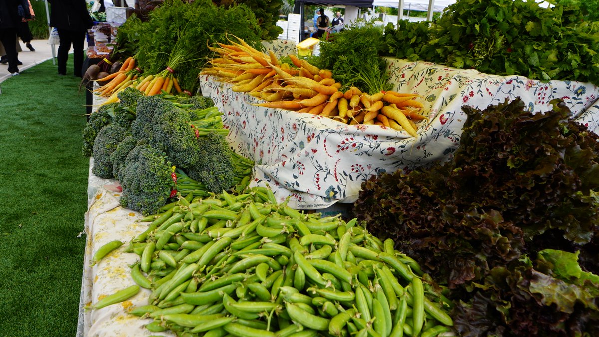 Today is farmer’s market day at the Wilma Chan Highland Hospital Campus! Join us every Monday from 11 a.m. to 3 p.m. to purchase fresh produce and prepared foods. Plus, you’ll support local BIPOC farmers. Located at 1411 E 31st Sreet, to the right of the hospital entrance.