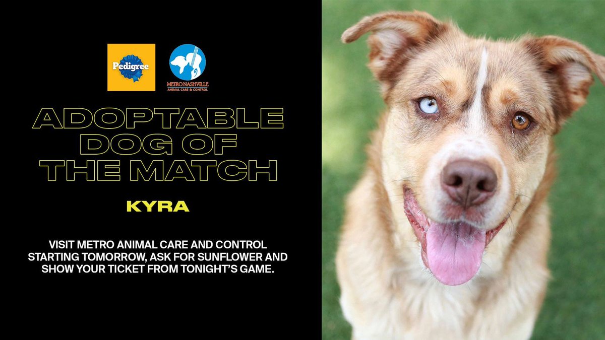 Saturday’s Adoptable Dog of the Match is still available at @NashvilleHumane 🐶 Show your match ticket to adopt Kyra and @PedigreeUS will cover the adoption fee!