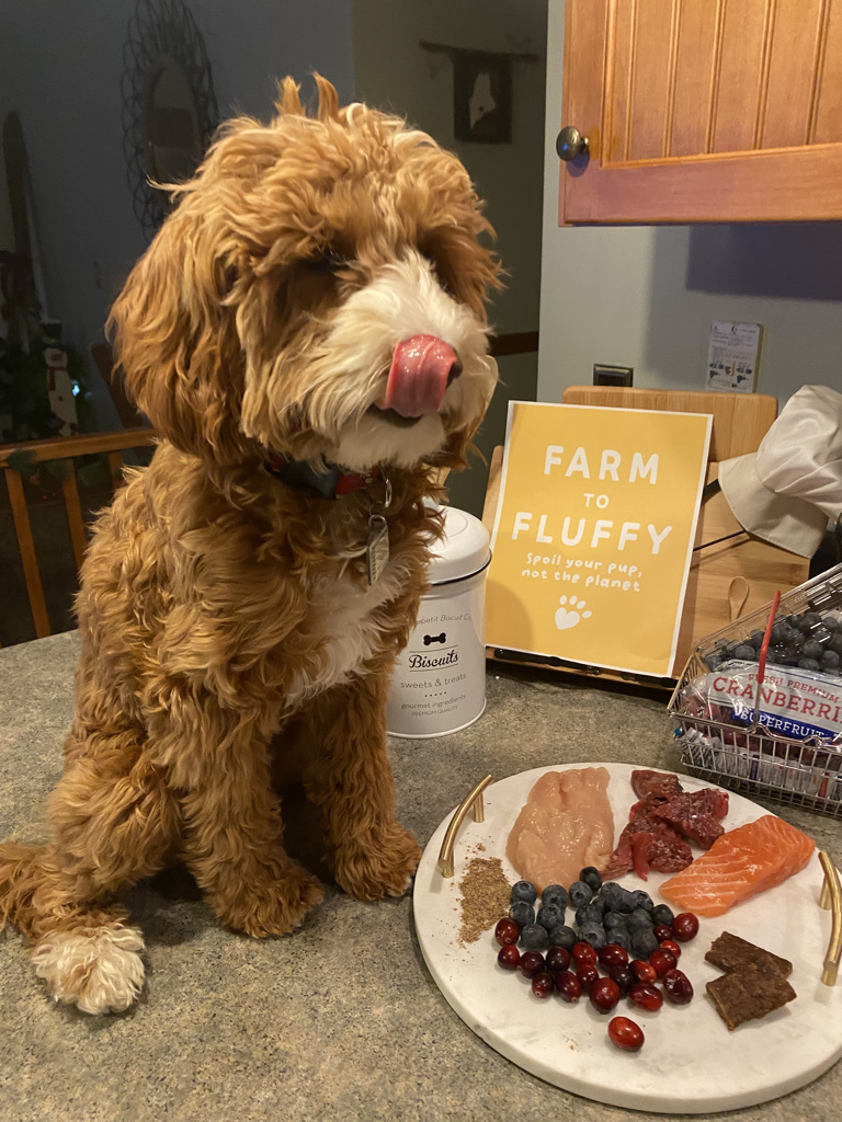 When you realize your treats are made from real meat and not mystery ingredients.🐶😋
#Dogtreats #FarmtoFluffy