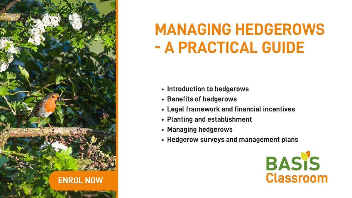 Celebrate #NationalHedgerowWeek 2024 by joining our online course on hedgerow management! Discover the secrets of planting, maintaining, and assessing hedgerow health while exploring the legal and financial aspects. 

Enrol today: bit.ly/3UtIWVr

#HedgerowWeek2024