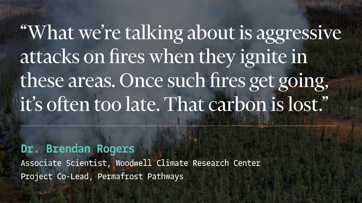 🔥🌲 Brendan Rogers spoke to @Nature about a new program in #Alaska backed by #PermafrostPathways that considers the carbon cost of northern fires and promotes fire management decisions to keep carbon in permafrost and soils and out of the atmosphere.