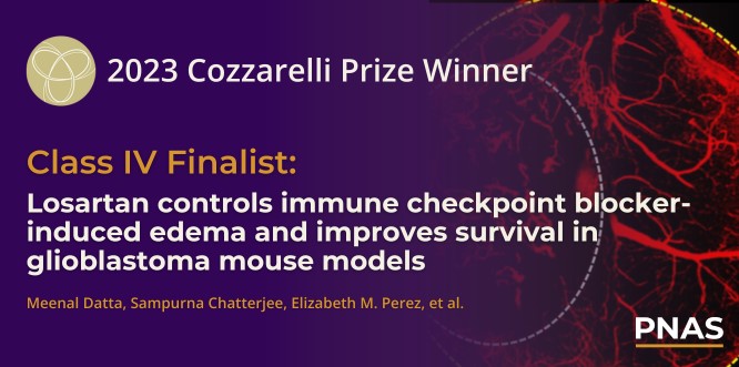 Congratulations to the finalists of the 2023 Cozzarelli Prize for their paper titled “Losartan controls immune checkpoint blocker-induced edema and improves survival in glioblastoma mouse models.” Explore their award-winning research: ow.ly/woF850Rxi8q