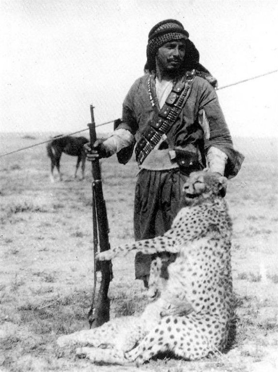A Shammar Bedouin hunter with a shot Asiatic Cheetah and cub, North of Saudi Arabia, 1925.