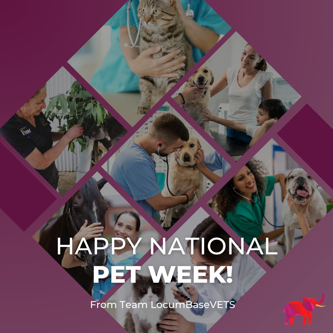 🐾 Happy National Pet Week! 🐶🐱
Celebrate the week by reminding pet owners to prioritise their fur babies' health and schedule those regular check-ups! 🏥👨‍⚕️

Sign up to LocumBaseVETS for free at locumbasevets.com

#NationalPetWeek #PetHealth #VeterinaryCare 🐾🩺