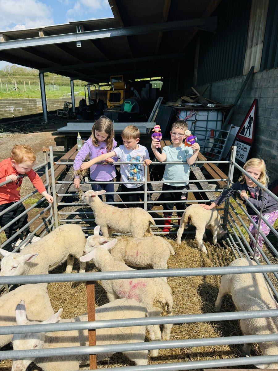 Gwersylla gyda Seren a Sbarc 🏕️ ☀️ 🌧️ 🐑 @YGCwmbran #DosbMariJones #SiarterIaithygc