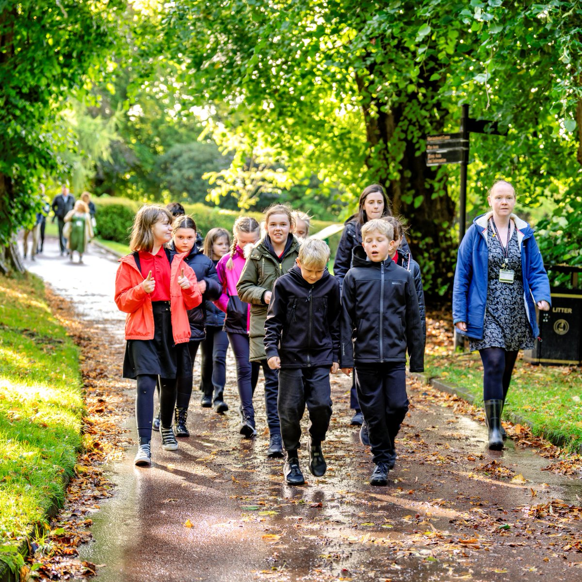 Ramblers Wellbeing Walks: Strolls are free, short, and friendly🌳. They take place all across England, including Chelmsford & SWF. Discover your local walk - bit.ly/49xjPFx